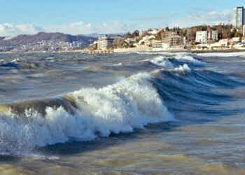 Sochi (sea) Санатории Большой Сочи 20 октября 2024 года