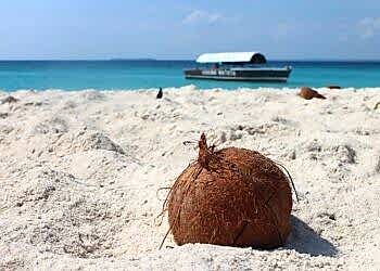 coconut-Zanzibar Нунгви Кендва Занзибар 2 июня 2023 года