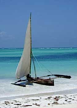 Zanzibar Занзибар Танзания 16 мая 2025 года