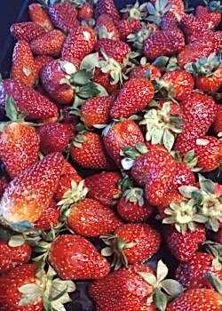 strawberry Турция из НН 11 мая 2025 года