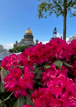 Piter С-Петербург авиатуры из НН 25 мая 2025 года